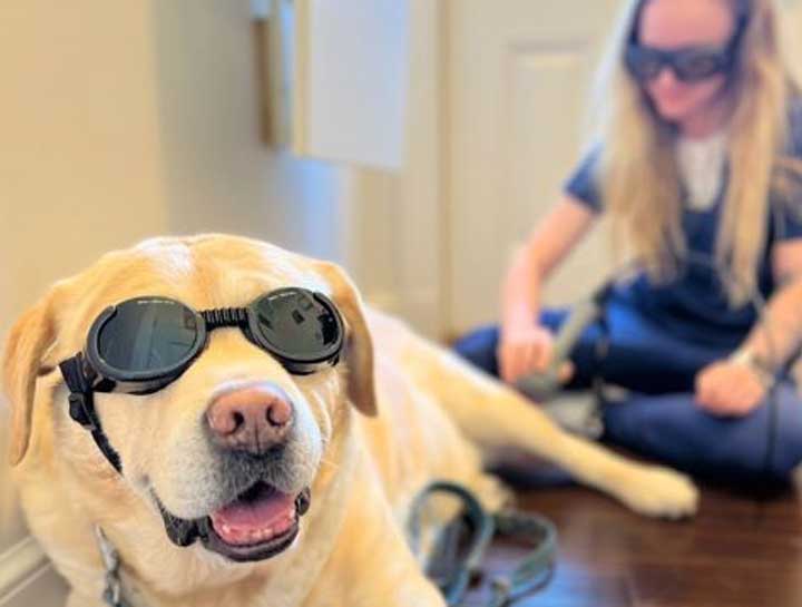 Laser Therapy for Dogs